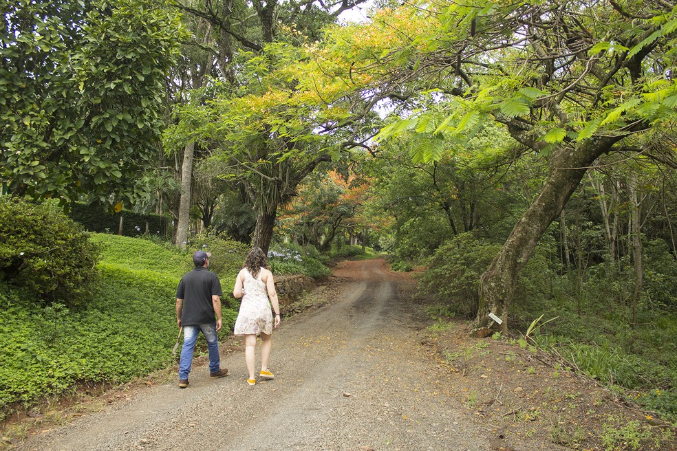 Visita guiada na antiga fazenda de café. — Foto: Marcio Kubo