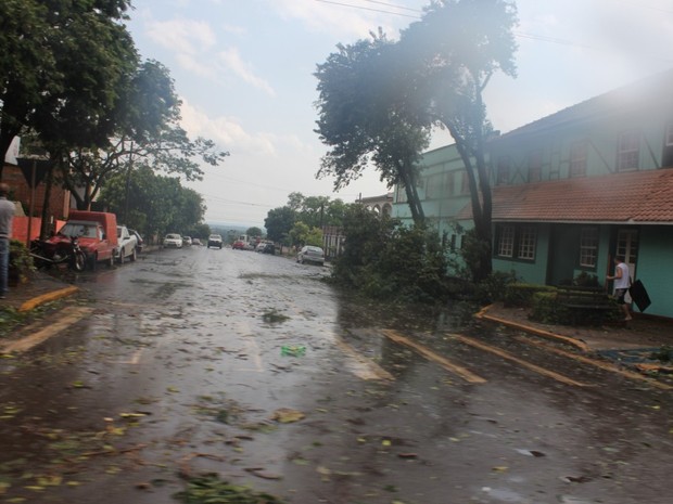 Após tornado, ruas ficaram cheias de restos de árvores em Marechal Cândido Rondon (Foto: Divulgação/Prefeitura de Marechal Cândido Rondon)