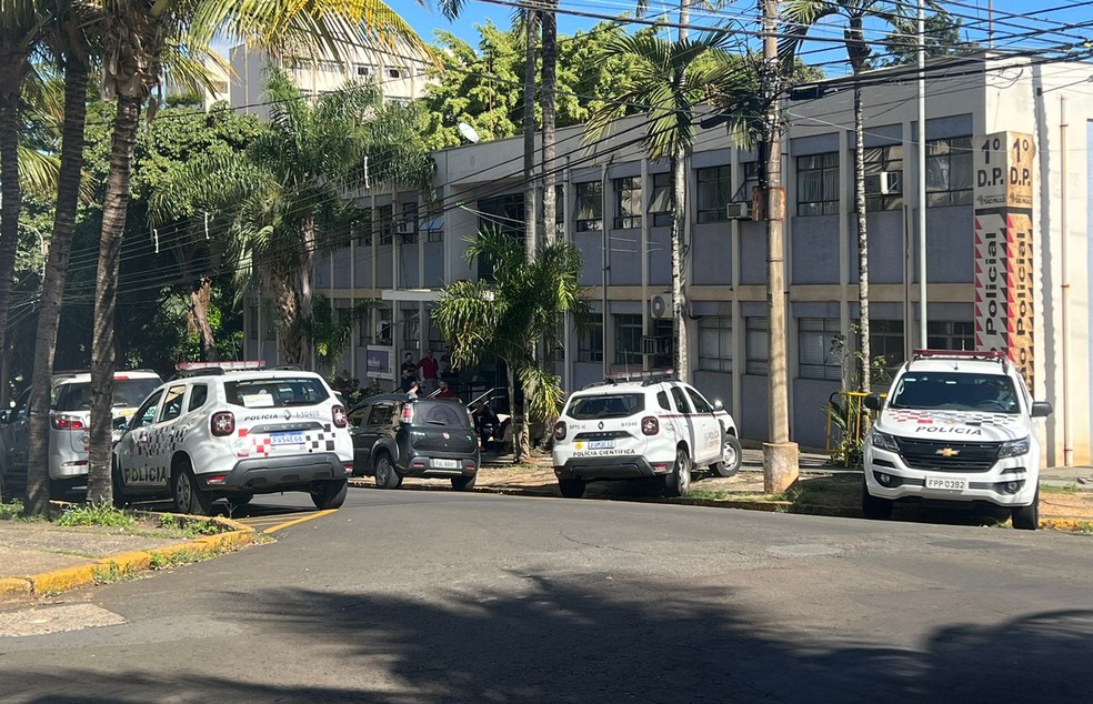 Caso foi apresentado no Plantão Policial de Piracicaba — Foto: Giuliano Tamura/ EPTV