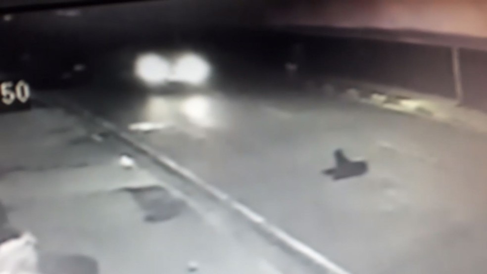 C&acirc;meras flagraram momento em que o carro atropelou o cachorro &mdash; Foto: Arquivo pessoal/Mirian Daniela dos Santos Pinto