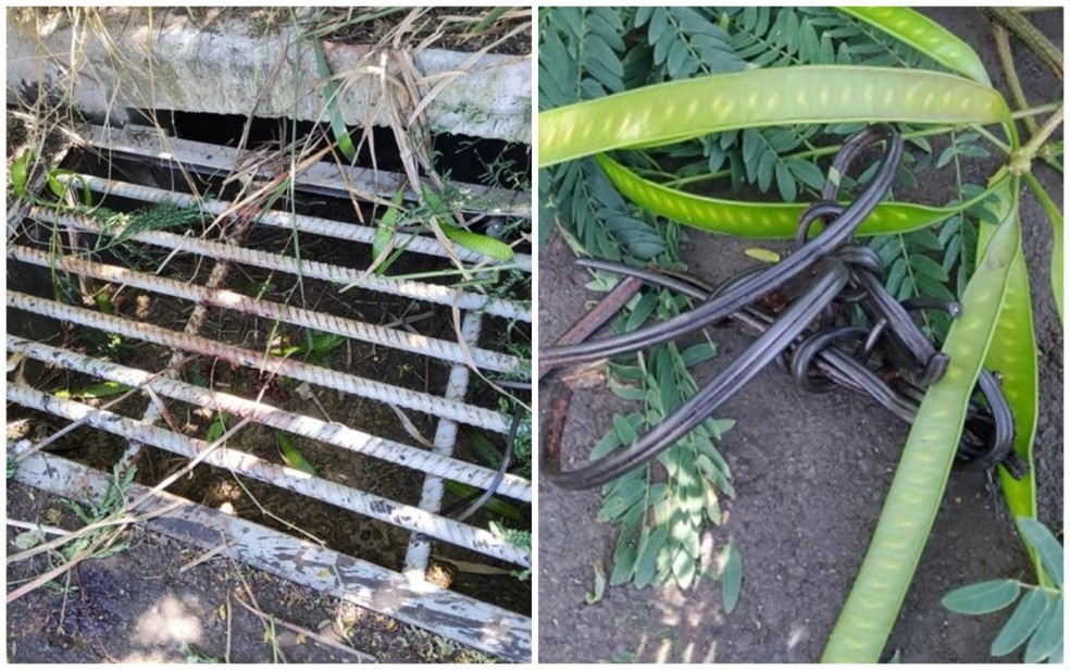 Mulher é estuprada e amarrada em bueiro de lote baldio em Rio Verde — Foto: Divulgação/SSP-GO