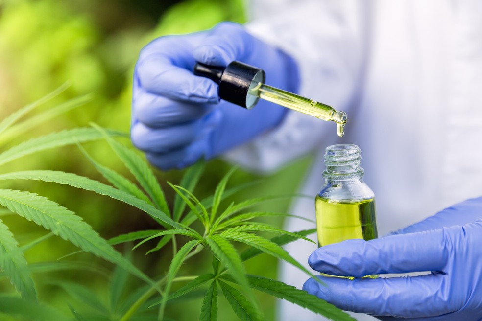 Maconha medicinal eu atleta cannabis cbd thc — Foto: Istock Getty Images