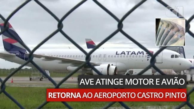 Ave atinge motor e avião retorna ao Aeroporto Castro Pinto