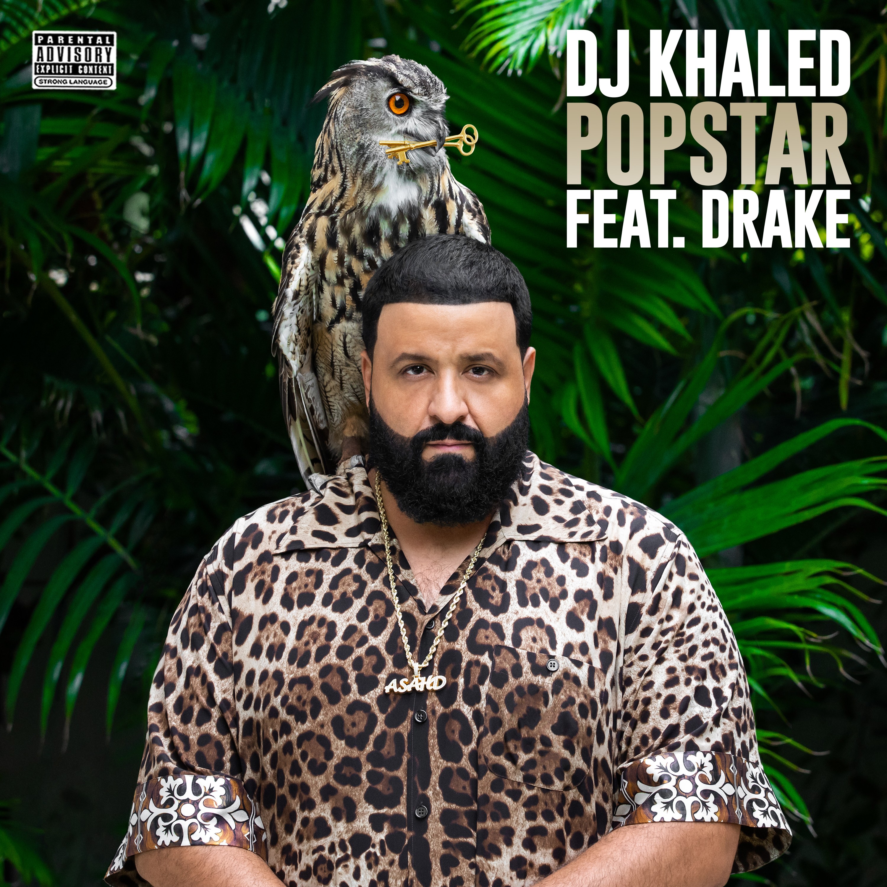 DJ Khaled lança dois novos singles com Drake (Foto: Divulgação)