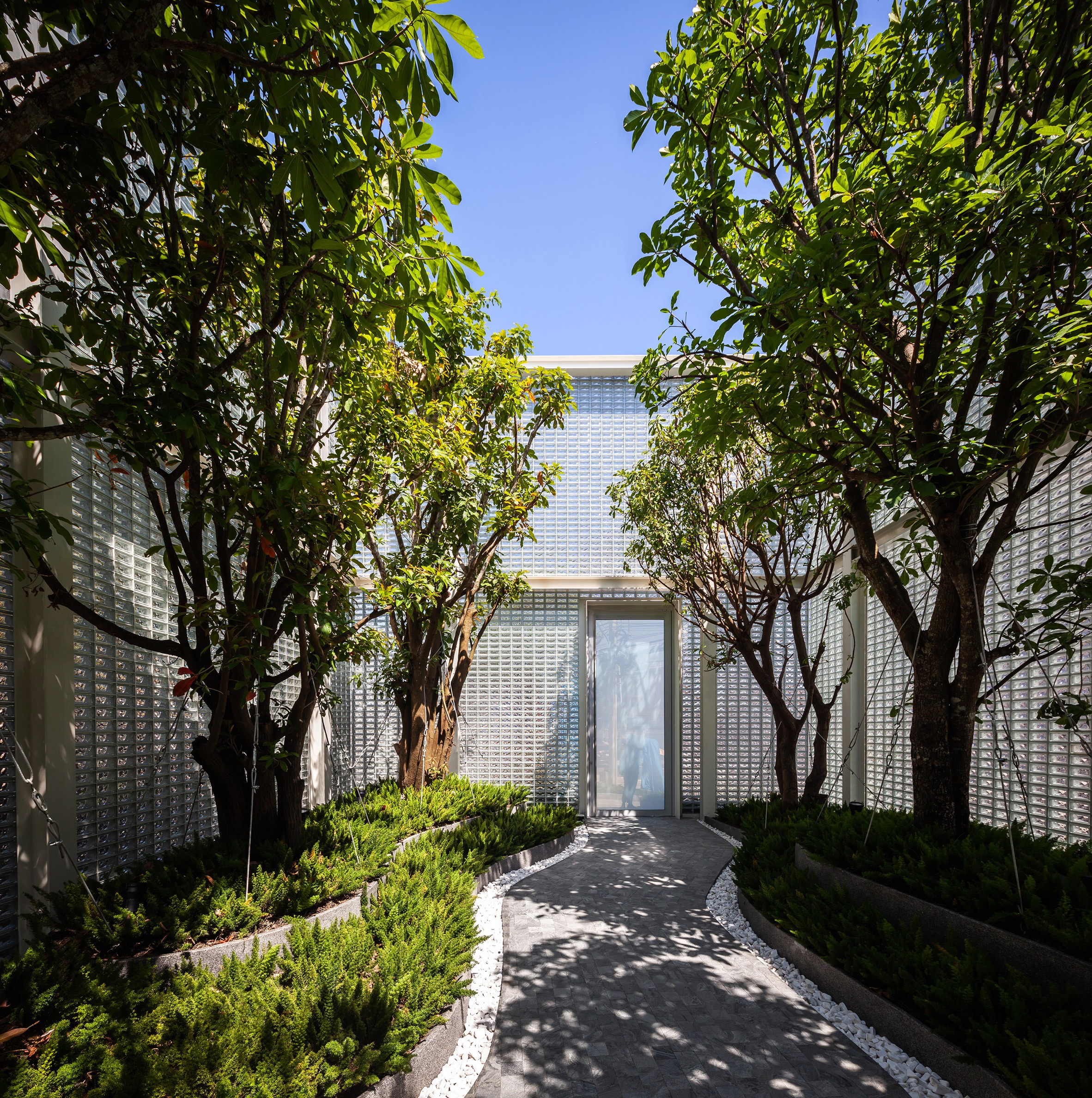Arquitetos projetam jardim "secreto" em casa de vidro (Foto: Divulgação)