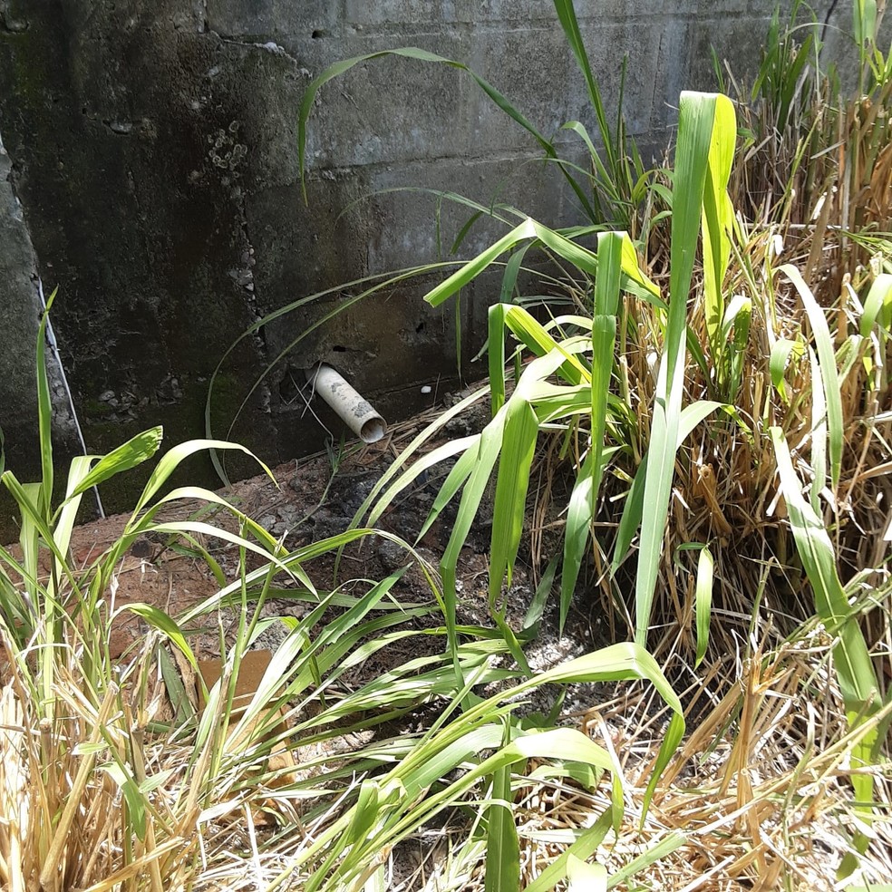 Ligações clandestinas jogavam esgoto e água servida em área militar da Barreira do Inferno, em Natal — Foto: Semurb/Divulgação