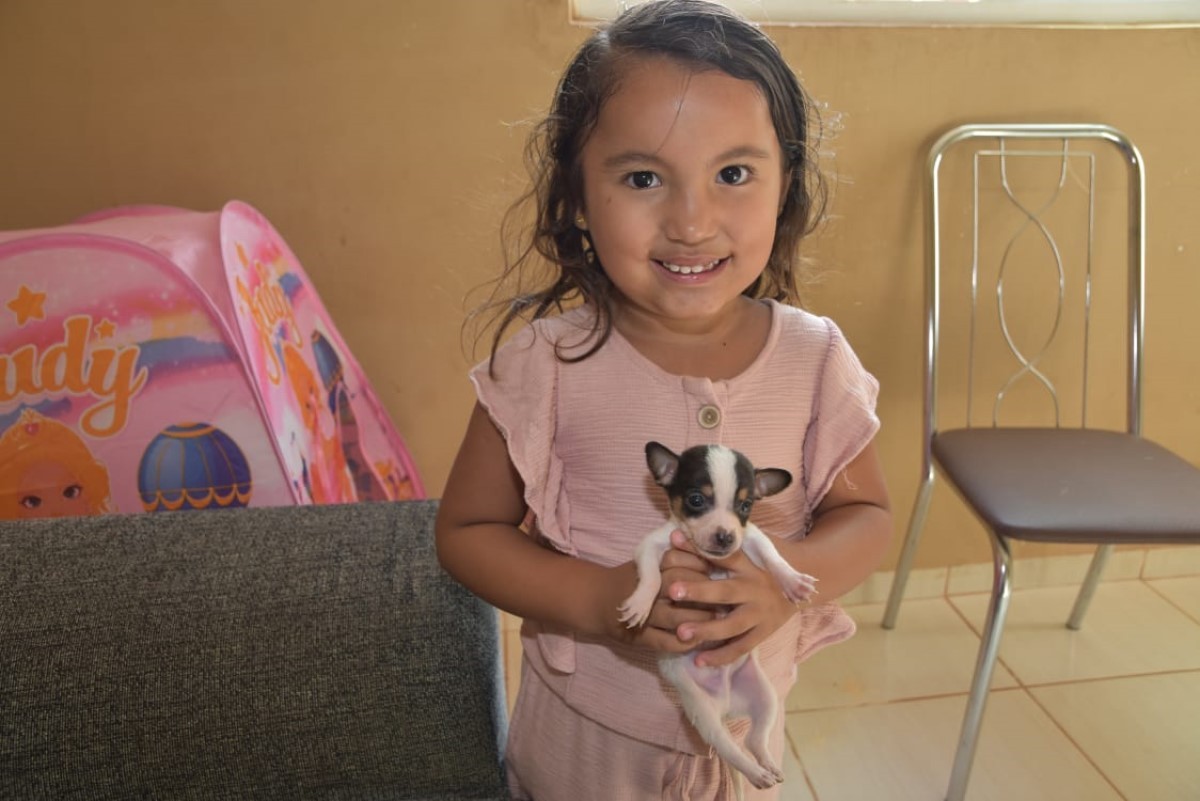 A pequena Lívia, 4 anos, segurando o cão Billy (Foto: Yara Vanessa/ Arquivo Pessoal )