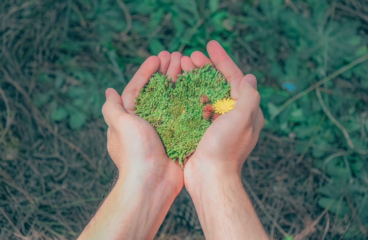 4 Atitudes Para Preservar O Meio Ambiente 5 Minutos De Nutrição Rede Globo 4305