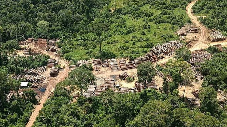 Área de desmatamento ilegal descoberta após monitoramento via satélite no Brasil