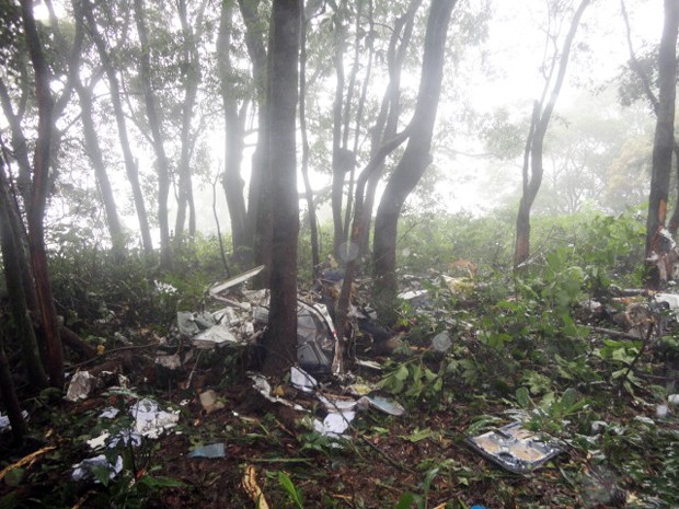 Segundo Corpo de Bombeiros, aeronave caiu entre árvores em Bueno Brandão (Foto: Polícia Militar)