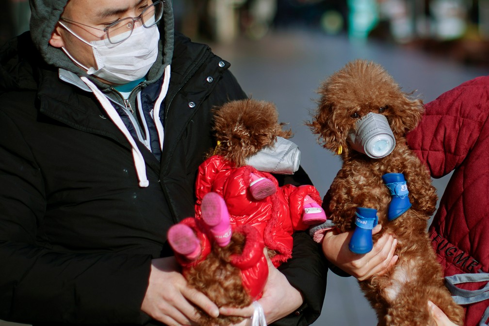 Cães com máscaras em área comercial de Shanghai — Foto: Aly Song/Reuters