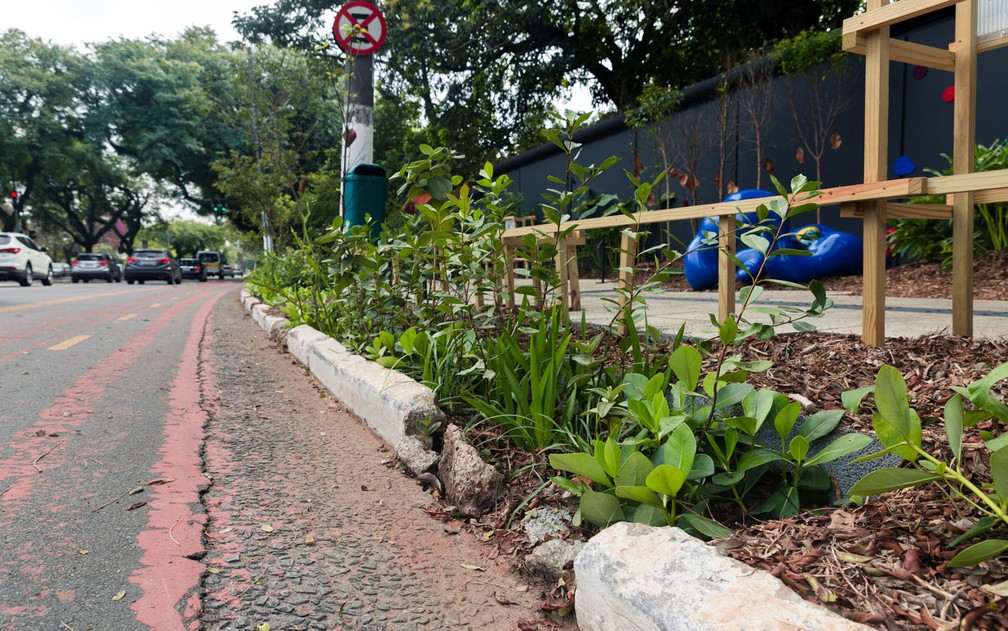 Jardim de chuva é ferramenta ainda inovadora no Brasil e capaz de acabar com enchentes, filtrar as águas dos rios, melhorar a qualidade do ar e ainda embelezar as cidades, segundo especialistas (Foto: Marcelo Brandt/G1)