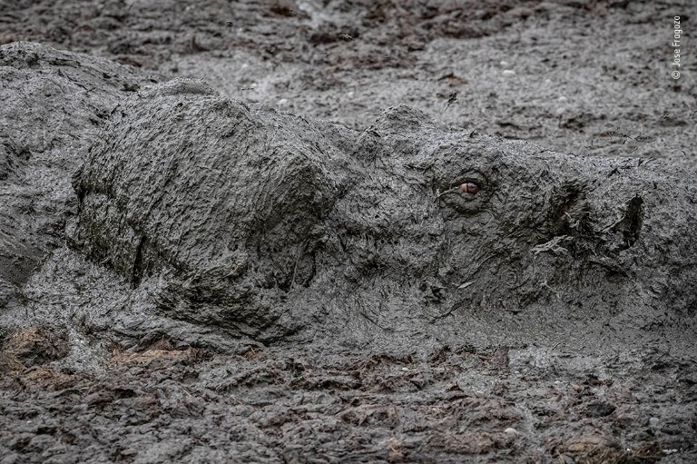 Olho da seca (Foto: Jose Fragozo/Wildlife Photographer of the Year)