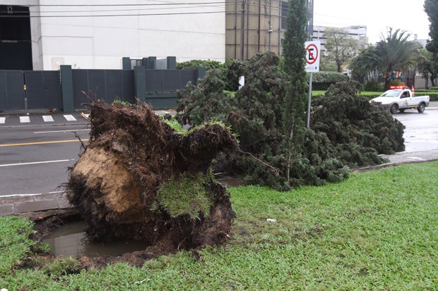 Estragos deixados pelo temporal ocorrido na madrugada são vistos em pontos de Porto Alegre, com árvores caídas (Foto: Roberto Vinicius/Estadão Conteúdo)