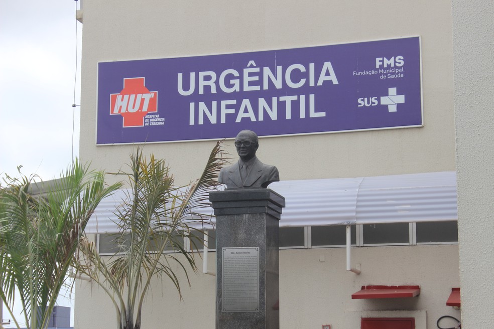 Criança com marcas de mordidas e lesões no rosto foi encaminhada para o Hospital de Urgência de Teresina. (Foto: Andrê Nascimento/ G1 PI)