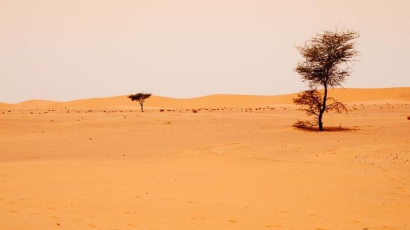 Ao sul do Deserto do Saara, o Sahel é altamente vulnerável à desertificação (Foto: Getty Images/BBC)