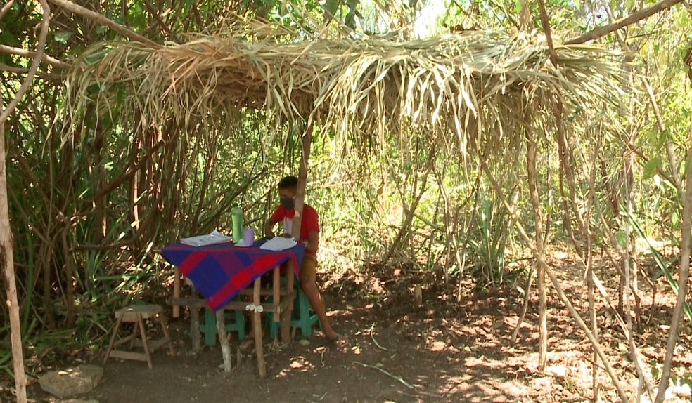 Pai fez cabana de palha na mata para filho assistir a aulas online no Piauí — Foto: Reprodução/TV Clube