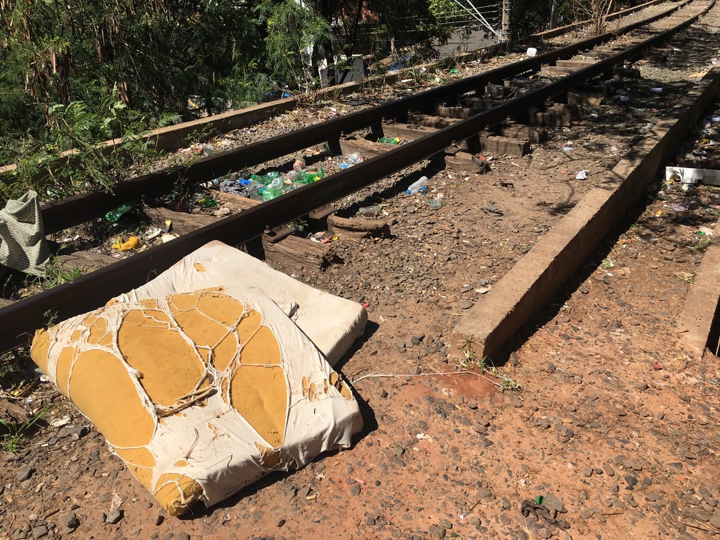 Ferrovia está abandonada na região de Presidente Prudente — Foto: Aline Costa/G1