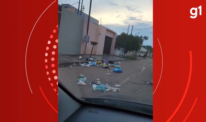 VÍDEO: porcos atacam lixos de casas em bairro de Várzea Grande (MT)