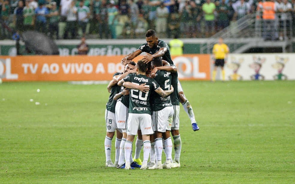 Jogadores do Palmeiras comemoram gol de Edu Dracena contra o Santos — Foto: Marcos Ribolli