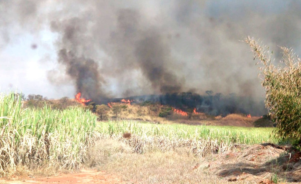 Na manhã desta segunda-feira (16), fogo voltou a ganhar força após se quase contido durante a madrugada — Foto: Defesa Civil de Bocaina/Divulgação
