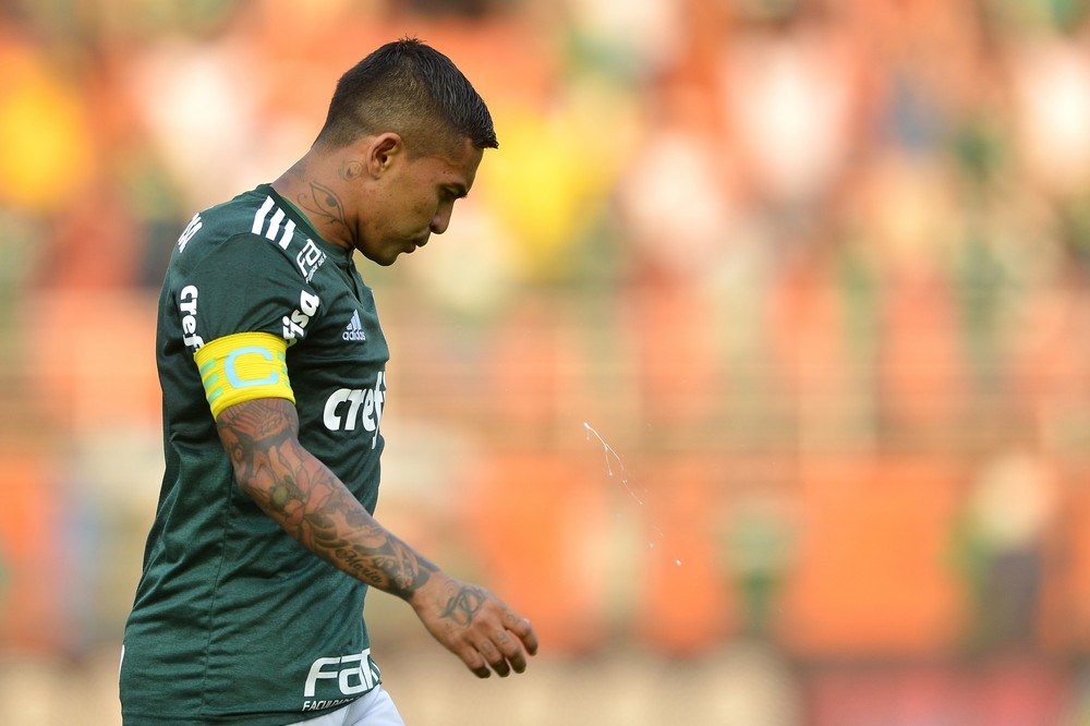 Lofredo vê Palmeiras abaixo do esperado, mas ameniza: 