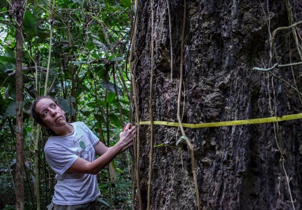 BBC: Bióloga estuda os impactos do fogo na Floresta Amazônica (Foto: MARIZILDA CRUPPE/REDE AMAZÔNIA SUSTENTÁVEL VIA BBC)