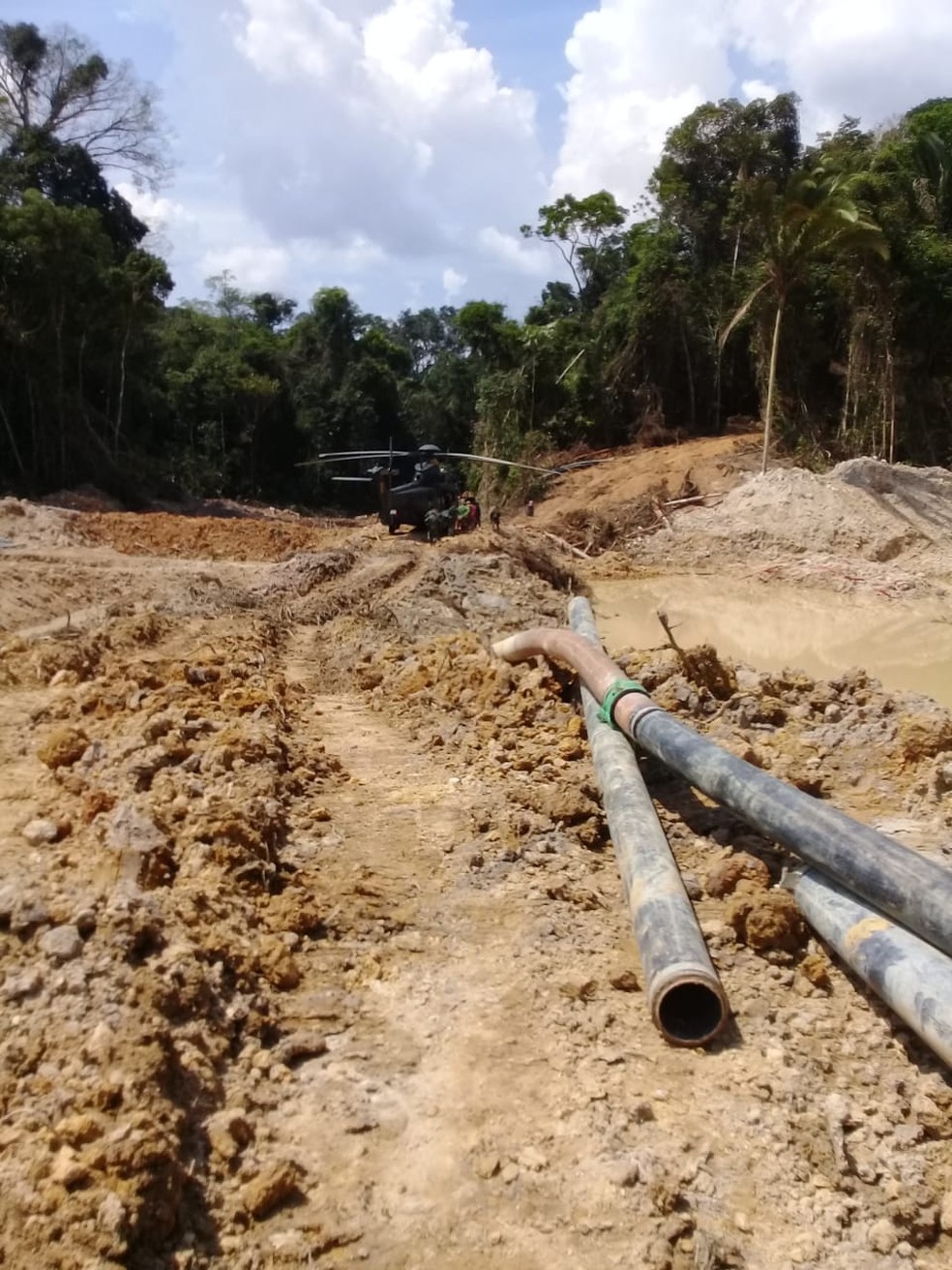 Operação cumpriu mandados em área de reserva — Foto: PF/Divulgação