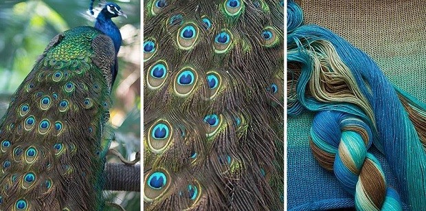 As criações de Kyle Vey e Shireen Nadir se inspiram em cores da natureza (Foto: Reprodução)