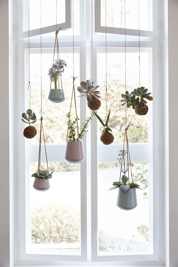 Vasos para suculentas: 15 ideias criativas de como exibir as plantas (Foto: Reprodução)