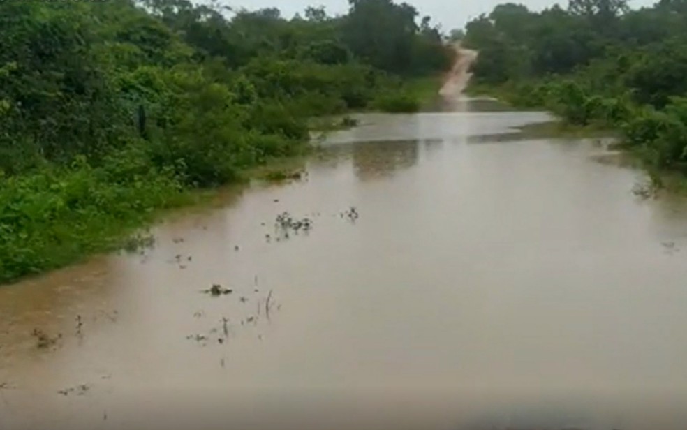Estrada no nordeste goiano que ficou alagada por causa das chuvas — Foto: Reprodução/TV Anhanguera