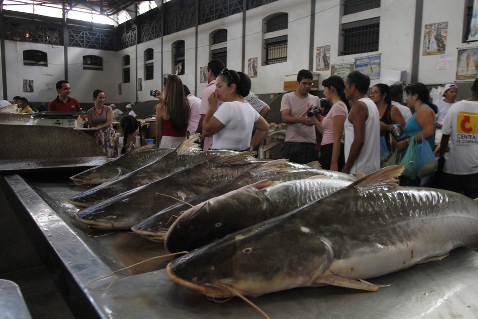 Filhote Pescado Inteiro Belém — Foto: Shirley Penaforte/Amazônia Jornal
