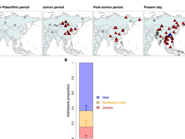 No mapa acima, as populações continentais antigas e atuais que estão significativamente mais próximas de Kofun do que de Yayoi são representadas por triângulos vermelhos, enquanto aquelas que estão simetricamente relacionadas a ambas as populações são rep (Foto: Science Advances)