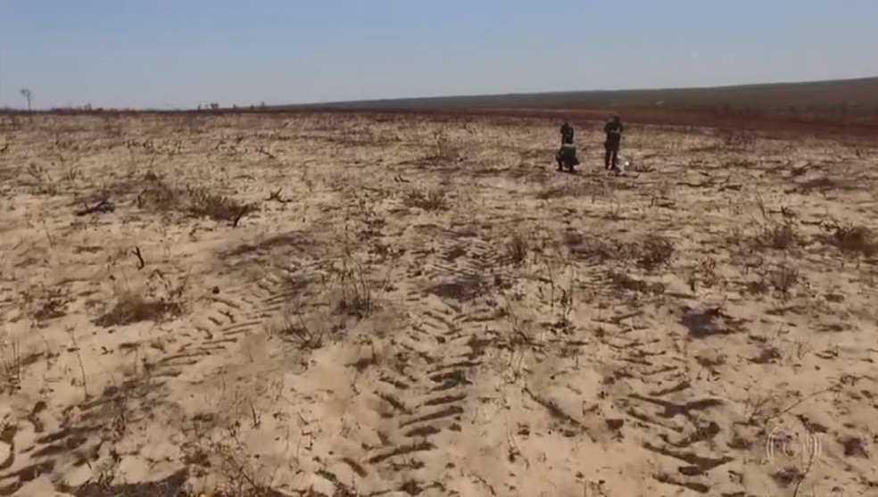Especialistas temem que áreas desmatadas virem desertos — Foto: Reprodução/TV Globo