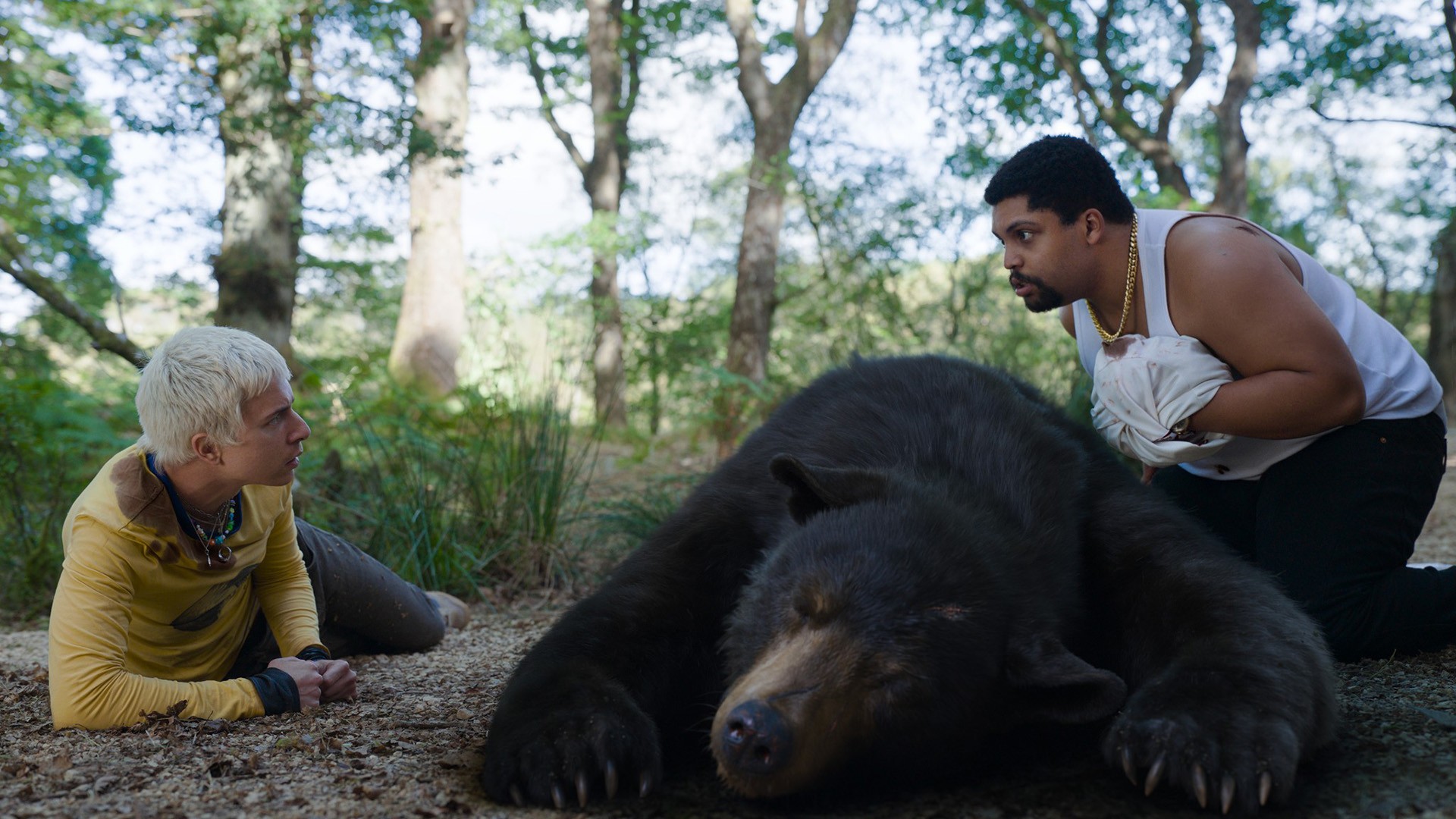 'O urso do pó branco' estreia nos cinemas da Paraíba