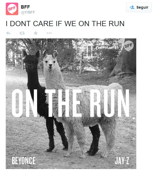Imagem faz menção a turnê de Jay-Z e Beyoncé e fuga das lhamas (Foto: Reprodução/Twitter)