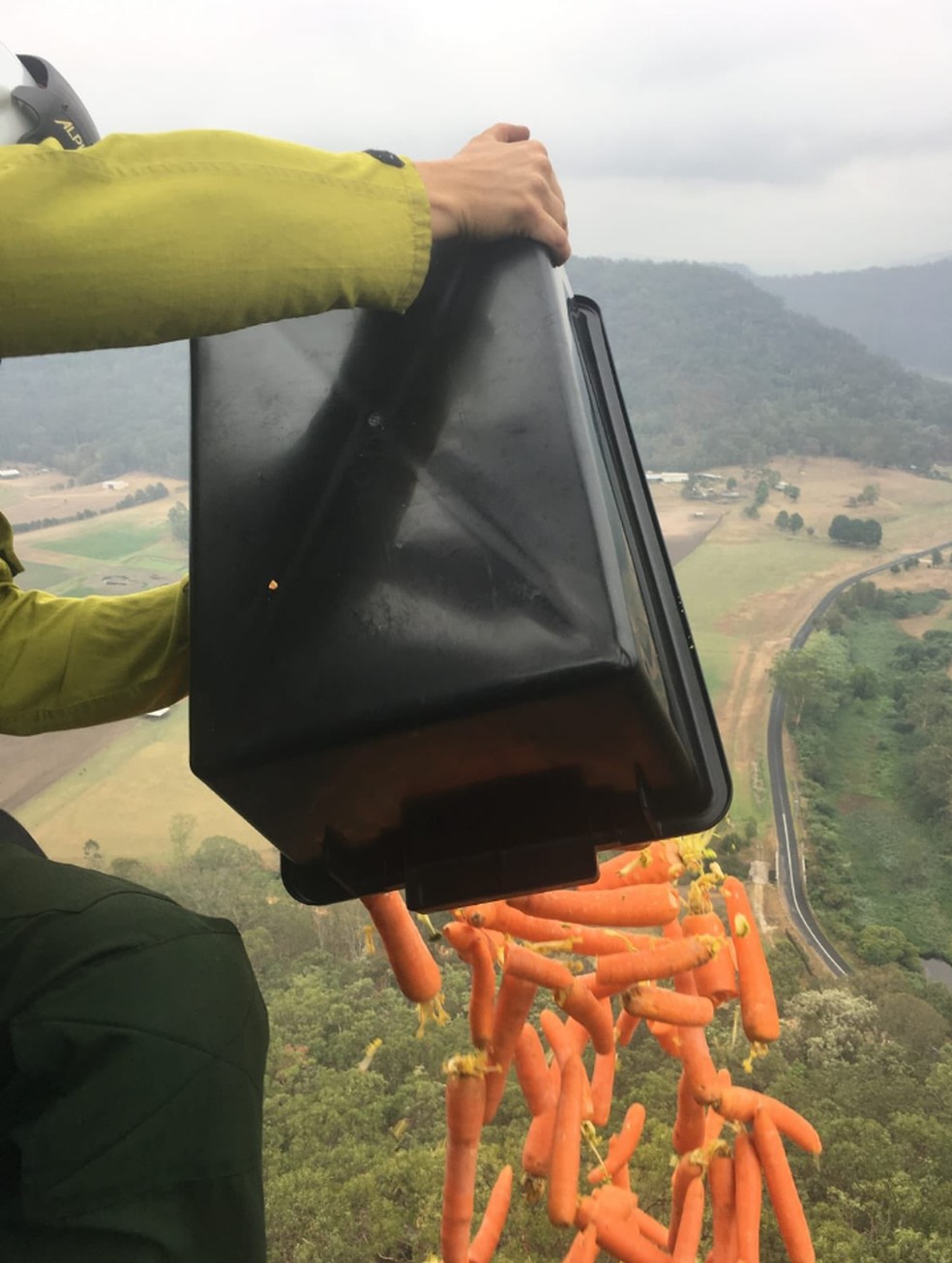 Governo da Austrália joga cerca de uma tonelada de alimentos para os animais sobreviventes do incêndio que afeta o país desde setembro de 2018. — Foto: Reprodução / Twitter