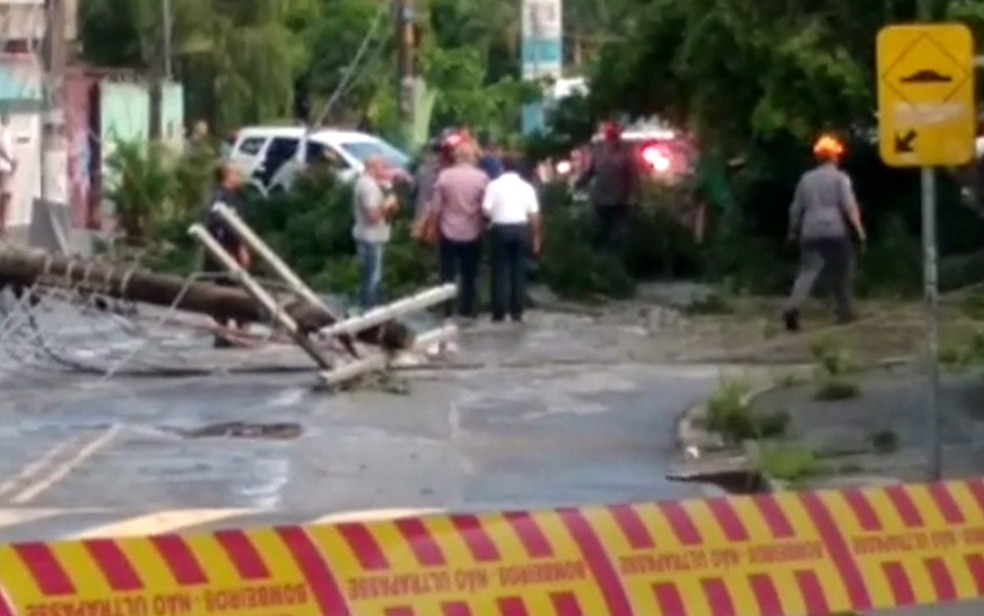 ÃƒÂrvore caiu sobre o carro e matou o motorista em Guarulhos Ã¢?? Foto: Giulia Amaral/VC no SP
