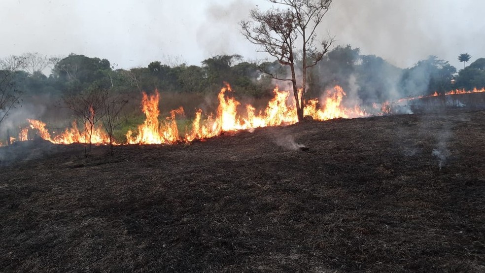 Queimadas no Acre chegaram a 1,5 mil focos, na primeira quinzena de setembro — Foto: Kelton Pinho/Rede Amazônica