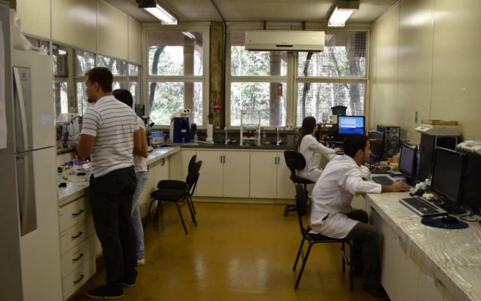 Trabalho foi desenvolvido no Instituto de Química da UFG (Foto: Murillo Velasco/G1)
