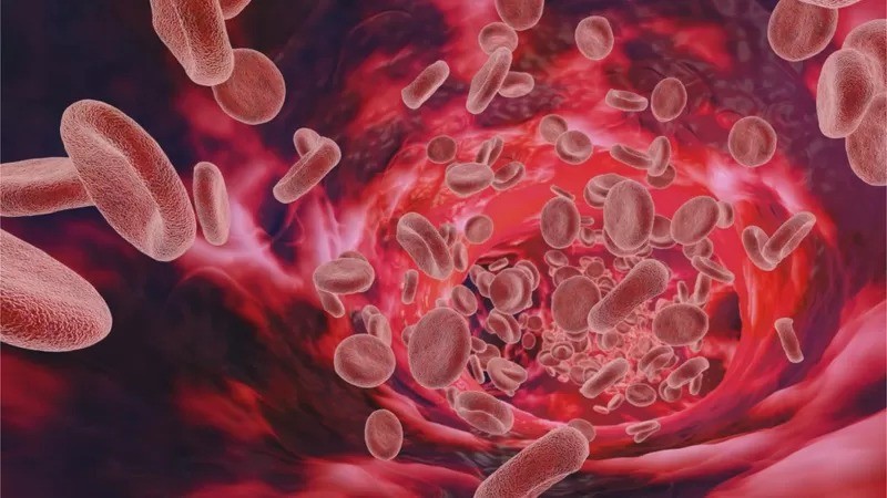 Os glóbulos vermelhos são repostos em cerca de 4 semanas após a doação, e o plasma em aproximadamente 24 horas (Foto: Getty Images via BBC News)