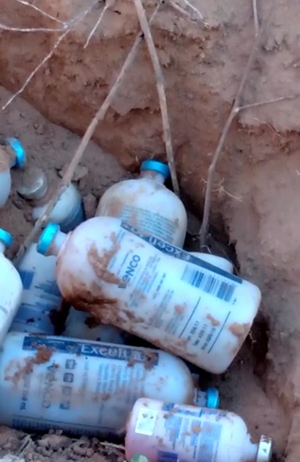 Vacinas foram descartadas irregularmente — Foto: Arquivo pessoal