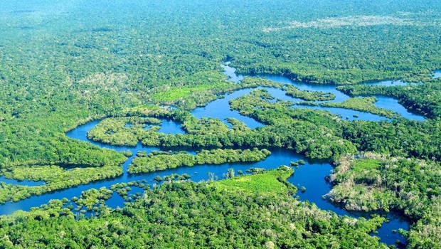 Biodiversidade do Brasil ; meio ambiente ; Amazônia ;  (Foto: Reprodução/Facebook)