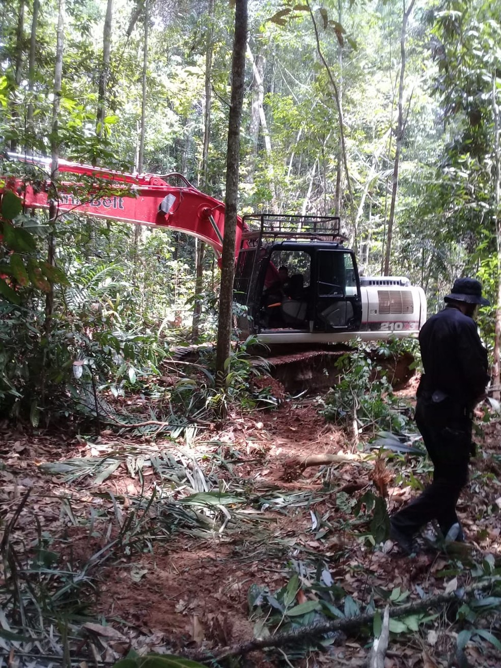 Agentes da PF encontram desmatamento em reserva  — Foto: PF/Divulgação
