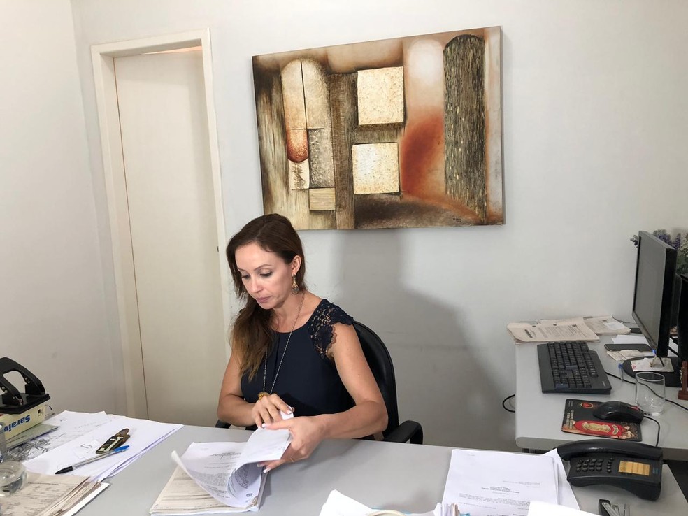 Delegada Karine Maia explica que, durante prazo da prisÃ£o preventiva do investigado, familiares da vÃ­tima serÃ£o ouvidos â Foto: Juliana Gorayeb/G1