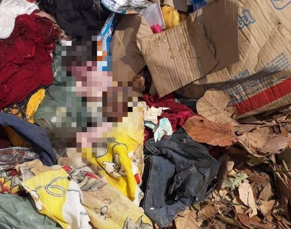 Feto humano é encontrado dentro de saco no lixão de São Pedro do Piauí — Foto: Reprodução