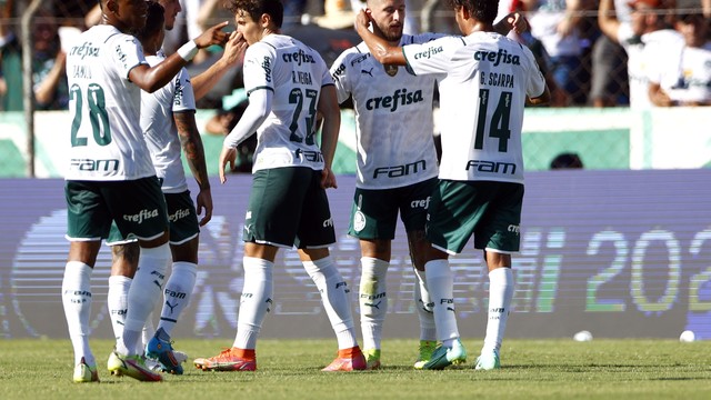 Novorizontino x Palmeiras