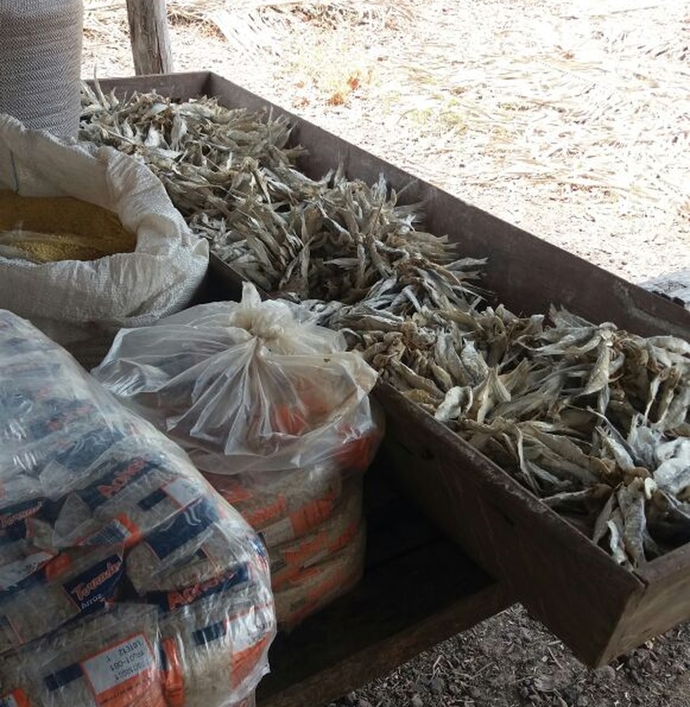 Alimentos eram guardados em local impróprio (Foto: Divulgação / PRF)