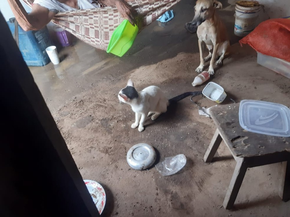 Idosa de 104 anos foi encontrada em situação de abandono e maus tratos em Rosário (MA) — Foto: Divulgação/Ministério Público do Maranhão
