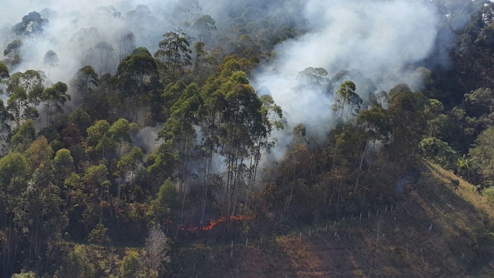 Incêndio em área de mata no bairro Maria Teresa, em Nova Friburgo (Foto: Fábio Gonçalves/ 6º GMB)